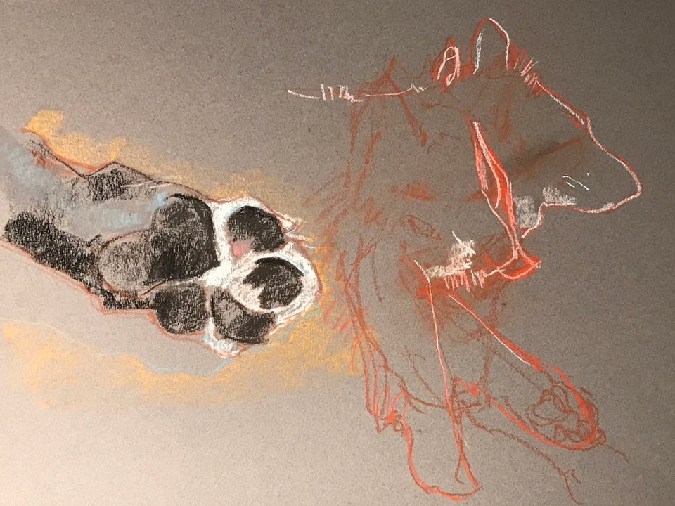 bandito_pastel-sketch_joseph-bergen