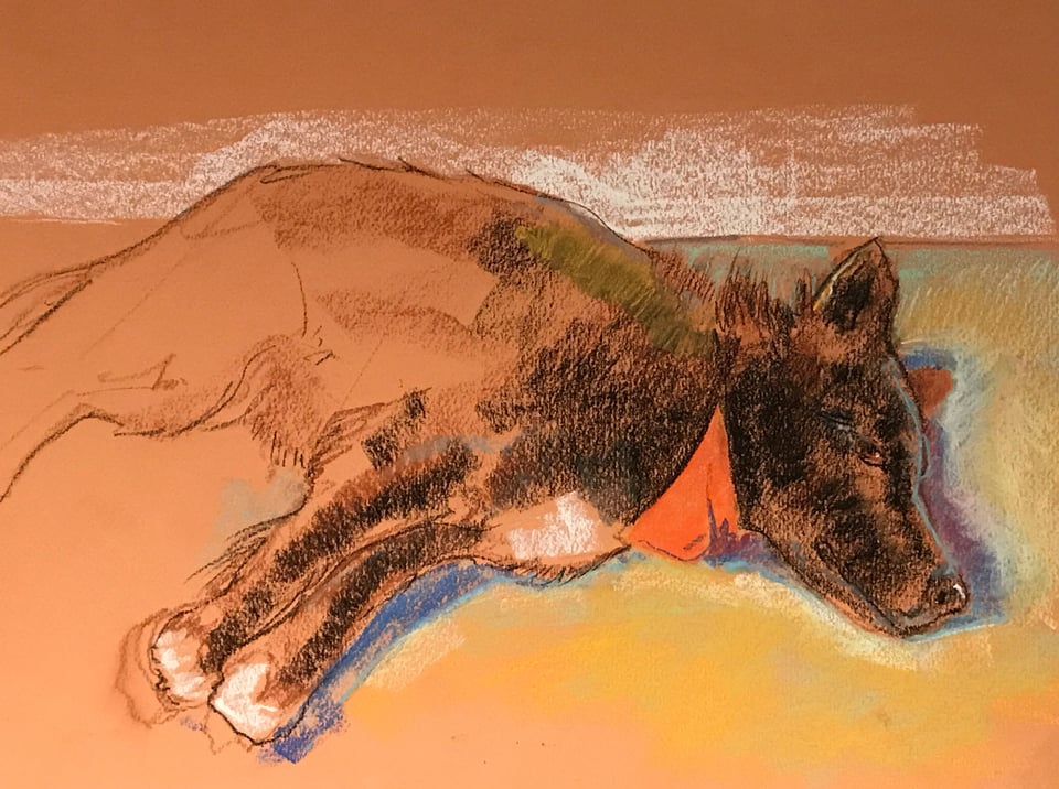bandito_pastel_joseph-bergen