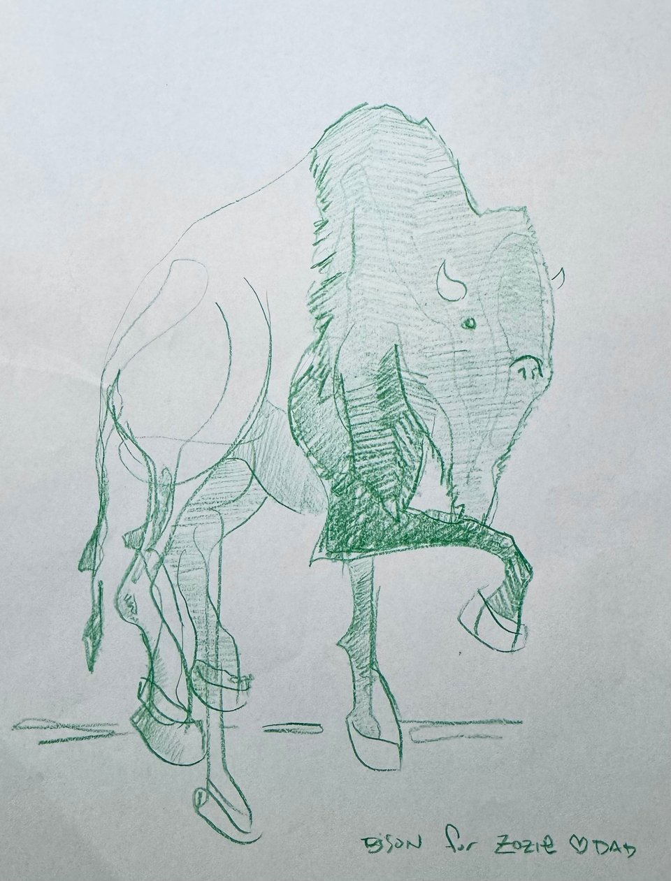 green colored pencil drawing of a bison seen head-on, shoulders hunched and one foreleg lifted, hatched shading laid over a loose contour underdrawing